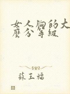 女人胸的大小怎么分等级