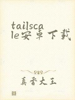 tailscale安卓下载