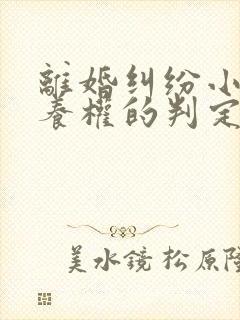 离婚纠纷小孩抚养权的判定