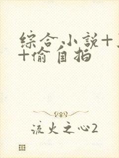 综合小说+亚洲+偷自拍