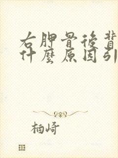 右胛骨后背疼是什么原因引起的女性