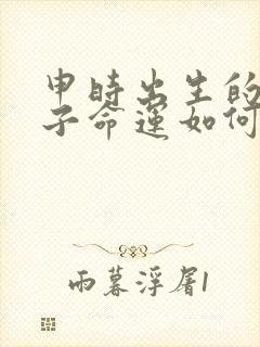 申时出生的男孩子命运如何