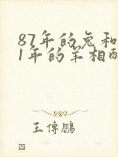 87年的兔和91年的羊相配吗