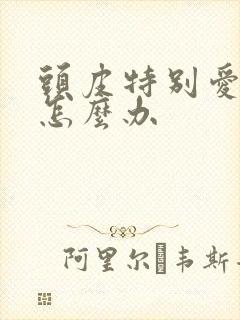 头皮特别爱出油怎么办封面