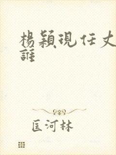 杨颖现任丈夫是谁