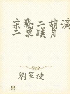 宋飞二胡演奏的二泉映月