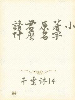 请君原著小说叫什么名字