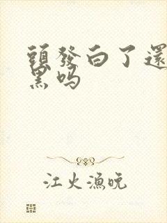 头发白了还会变黑吗封面