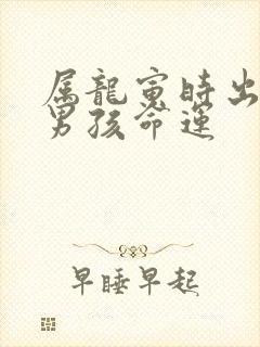 属龙寅时出生的男孩命运