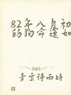 82年八月初一的狗命运如何