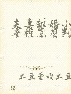 夫妻离婚小孩抚养权怎么判抚养费怎么出封面