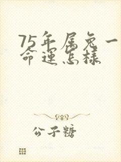 75年属兔一生命运怎样