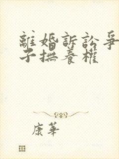 离婚诉讼争夺孩子抚养权