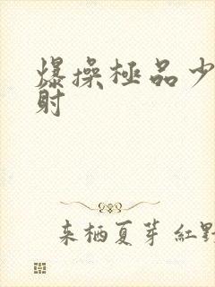 爆操极品少妇内射