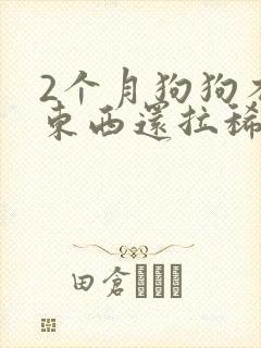 2个月狗狗不吃东西还拉稀怎么办