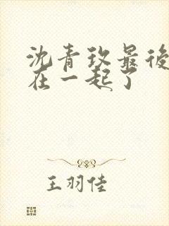 沈青玫最后和谁在一起了封面