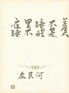 夜里睡不着白天睡不醒是失眠吗