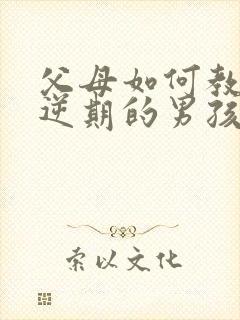 父母如何教育叛逆期的男孩子封面