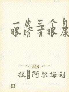 一岁三个月宝宝眼睛有眼屎是黄脓状