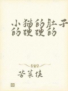 小猫的肚子鼓鼓的硬硬的