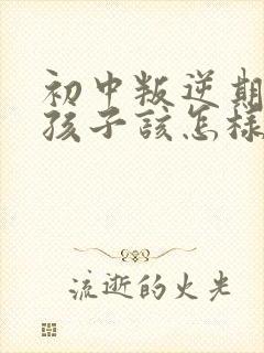 初中叛逆期的男孩子该怎样去沟通教育封面