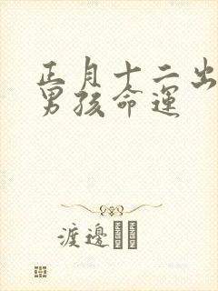 正月十二出生的男孩命运