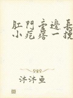 肛门旁边长了个小疙瘩一摸就疼怎么办封面