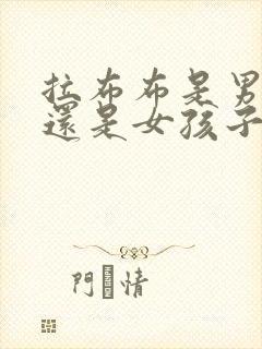 拉布布是男孩子还是女孩子