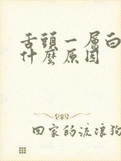 舌头一层白苔是什么原因