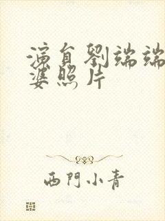 演员刘端端的老婆照片封面