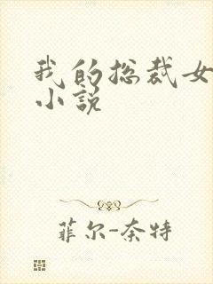我的总裁女友 小说