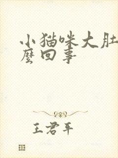 小猫咪大肚子怎么回事