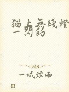 猫上无线灯一闪一闪的封面