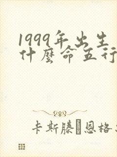 1999年出生什么命五行属性封面