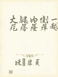 大腿内侧一片红疙瘩瘙痒越抓越痒