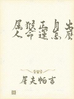 属猴正月出生的人命运怎么样