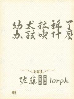 幼犬拉稀了怎么办该吃什么药