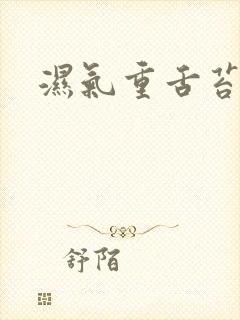 湿气重舌苔黄厚