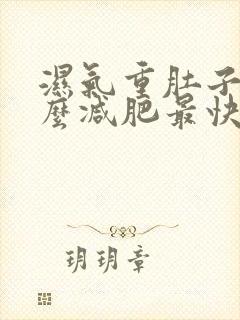 湿气重肚子大怎么减肥最快封面