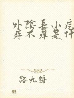 外阴长小疙瘩不疼不痒是什么原因