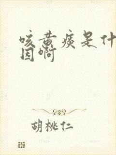 咳黄痰是什么原因啊封面