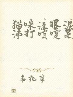 猫咪流眼泪流鼻涕打喷嚏是怎么回事