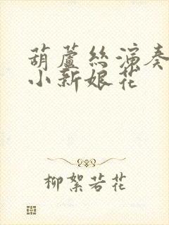 葫芦丝演奏 小小新娘花