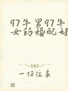 97牛男97牛女的婚配好吗封面