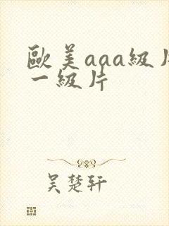 欧美aaa级片一级片