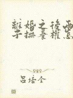 离婚之后两个孩子抚养权怎么判封面