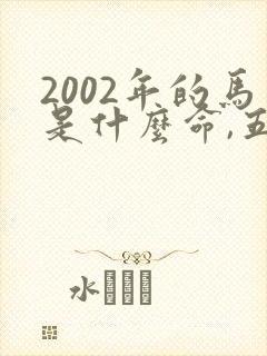 2002年的马是什么命,五行属性