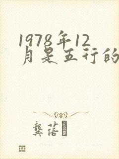 1978年12月是五行的什么命