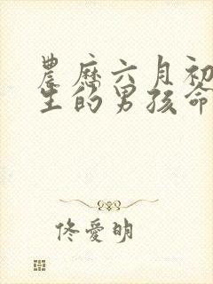 农历六月初一出生的男孩命运