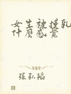 女生被摸乳房是什么感觉封面